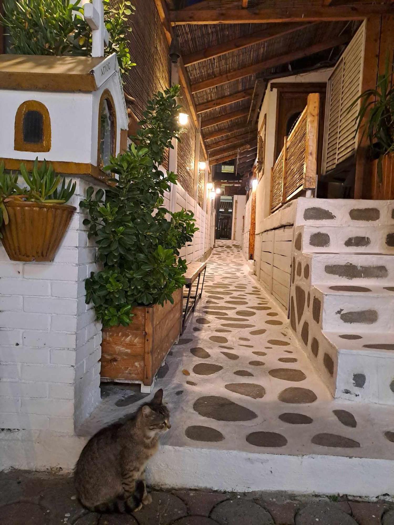 Mariza -studios Apartment